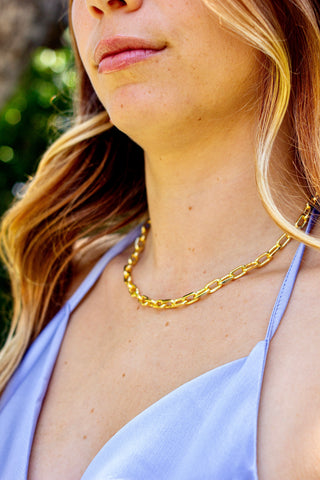 Close-up of a person wearing a gold chain necklace with a blurred natural background