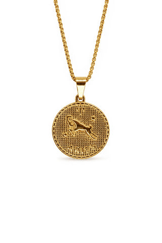 Gold necklace with a round pendant on a white background
